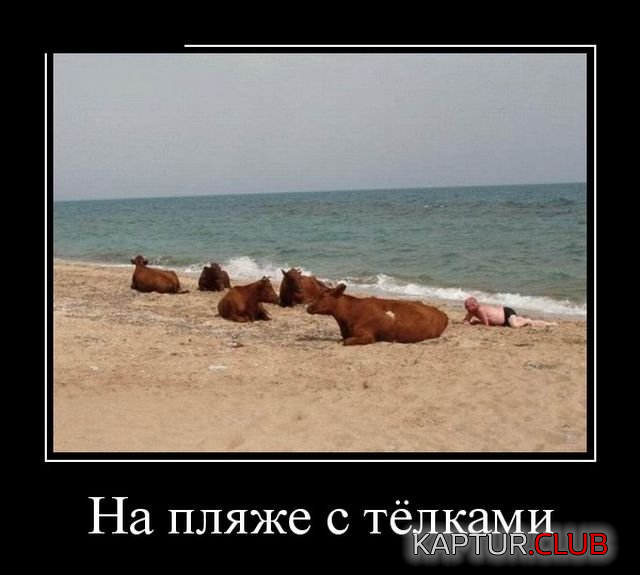 1.png | Рено Каптур Клуб Россия | Форум KAPTUR.SU