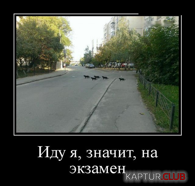 1.png | Рено Каптур Клуб Россия | Форум KAPTUR.SU