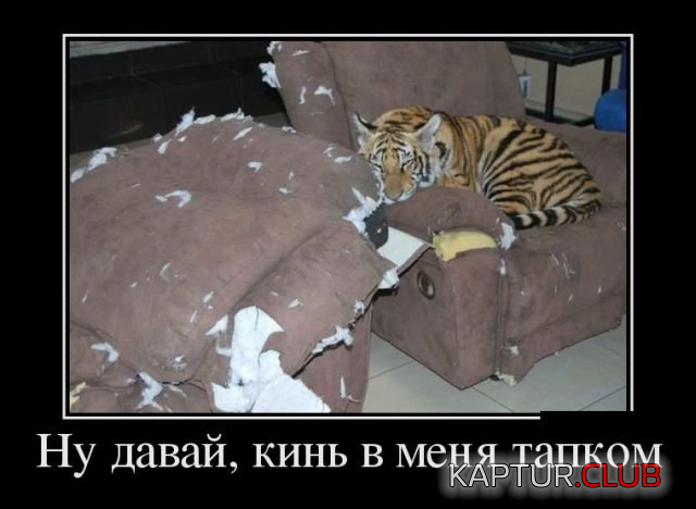 1.png | Рено Каптур Клуб Россия | Форум KAPTUR.SU