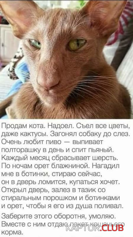 1.png | Рено Каптур Клуб Россия | Форум KAPTUR.SU