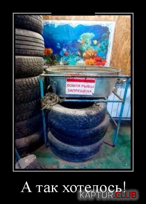 1.png | Рено Каптур Клуб Россия | Форум KAPTUR.SU