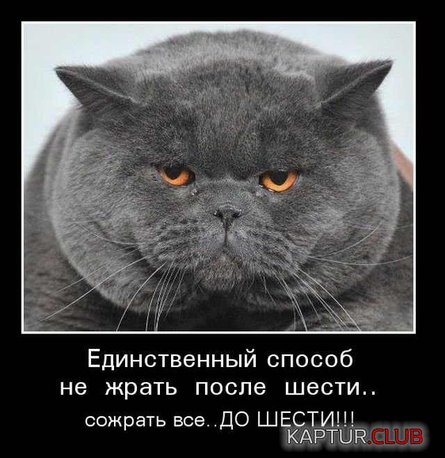 1.png | Рено Каптур Клуб Россия | Форум KAPTUR.SU