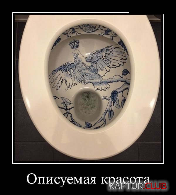1.png | Рено Каптур Клуб Россия | Форум KAPTUR.SU