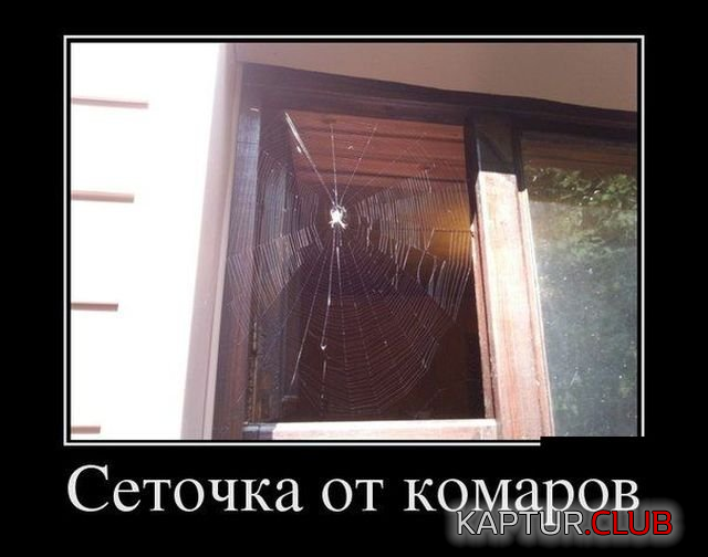 1.png | Рено Каптур Клуб Россия | Форум KAPTUR.SU