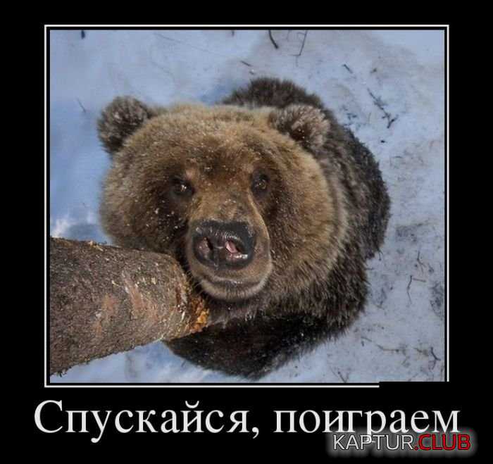 1.png | Рено Каптур Клуб Россия | Форум KAPTUR.SU