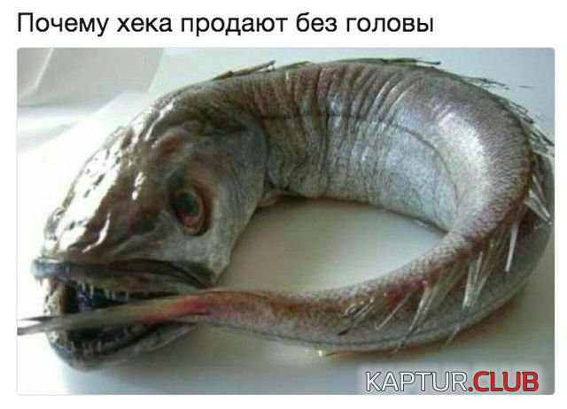 1.png | Рено Каптур Клуб Россия | Форум KAPTUR.SU