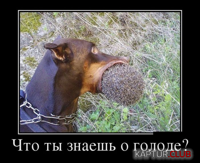 1.png | Рено Каптур Клуб Россия | Форум KAPTUR.SU