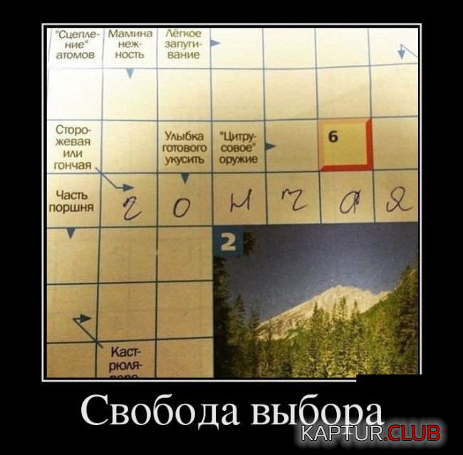 1.png | Рено Каптур Клуб Россия | Форум KAPTUR.SU