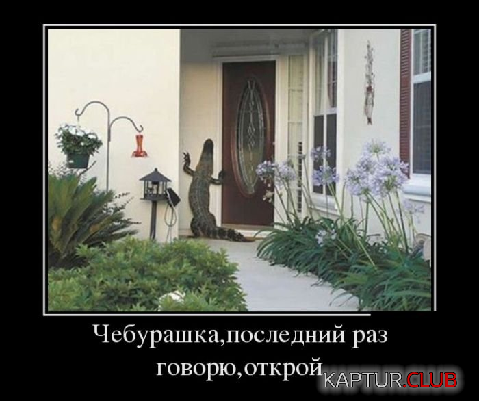 1.png | Рено Каптур Клуб Россия | Форум KAPTUR.SU
