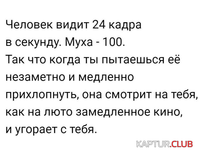 1.png | Рено Каптур Клуб Россия | Форум KAPTUR.SU