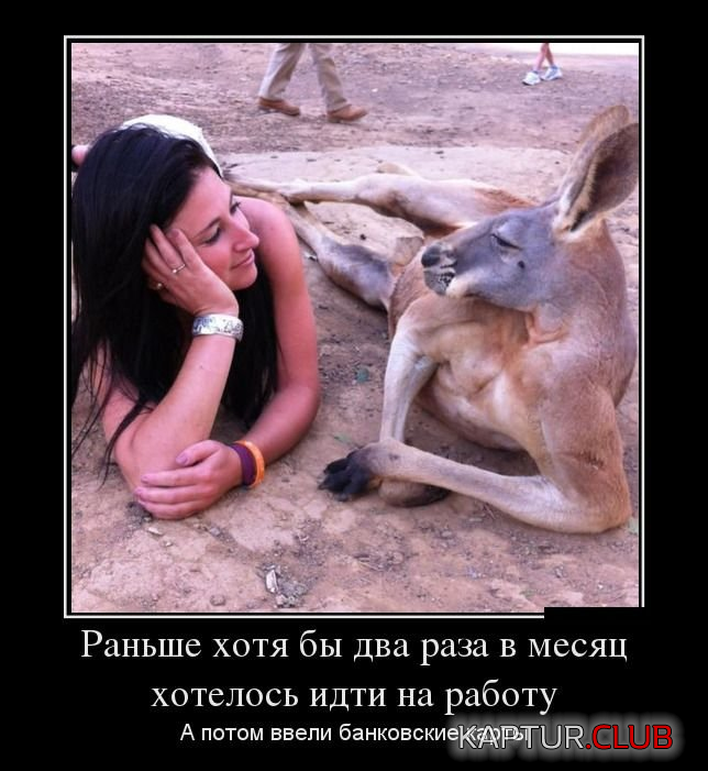 1.png | Рено Каптур Клуб Россия | Форум KAPTUR.SU