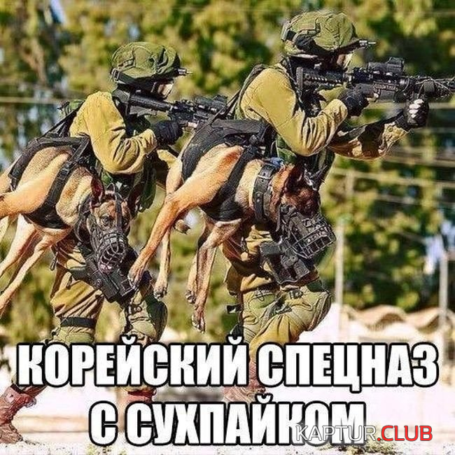 1.png | Рено Каптур Клуб Россия | Форум KAPTUR.SU