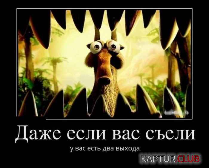 1.png | Рено Каптур Клуб Россия | Форум KAPTUR.SU