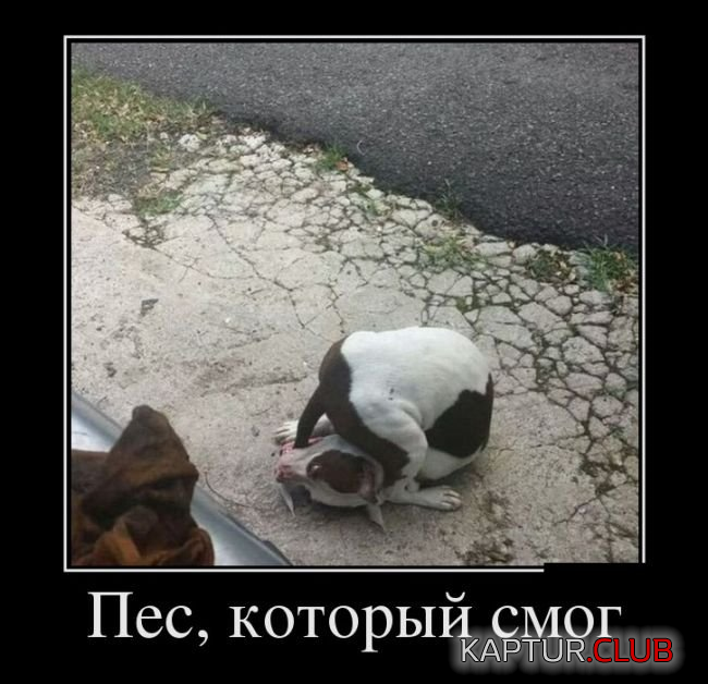 1.png | Рено Каптур Клуб Россия | Форум KAPTUR.SU