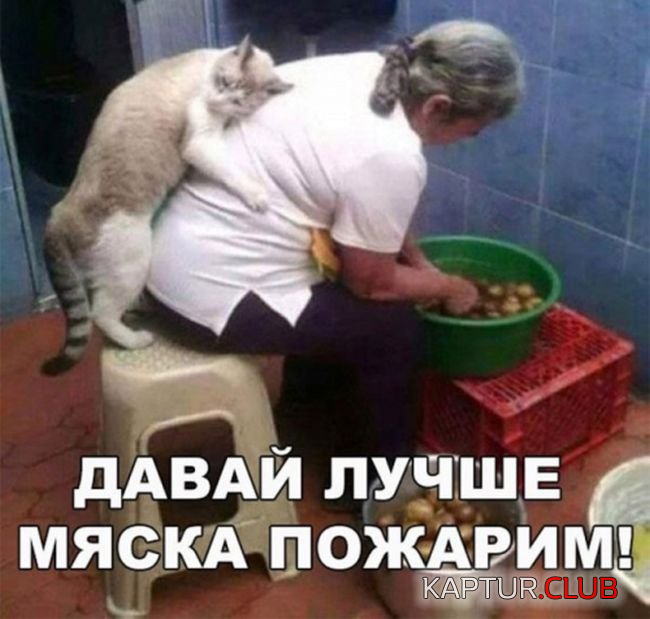 1.png | Рено Каптур Клуб Россия | Форум KAPTUR.SU