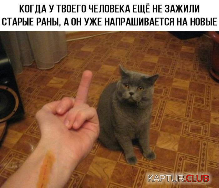 1.png | Рено Каптур Клуб Россия | Форум KAPTUR.SU