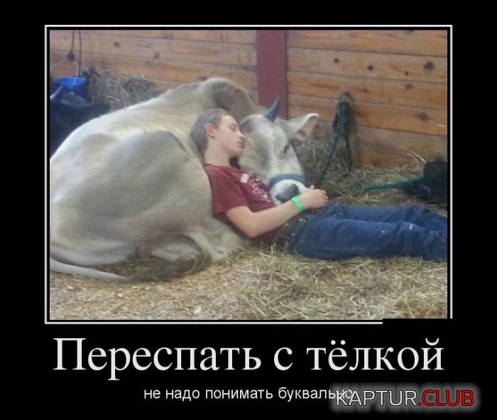 1.png | Рено Каптур Клуб Россия | Форум KAPTUR.SU