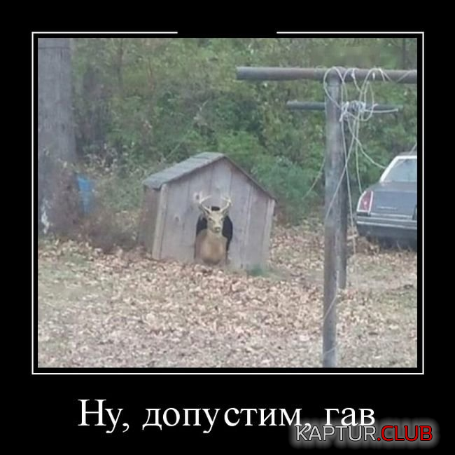 1.png | Рено Каптур Клуб Россия | Форум KAPTUR.SU