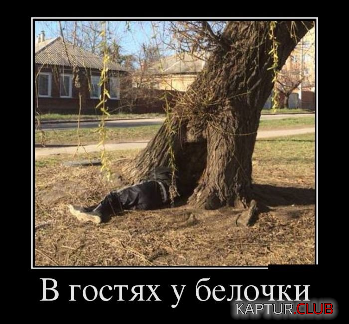 1.png | Рено Каптур Клуб Россия | Форум KAPTUR.SU