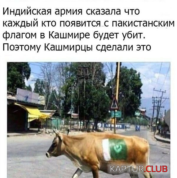 1.png | Рено Каптур Клуб Россия | Форум KAPTUR.SU
