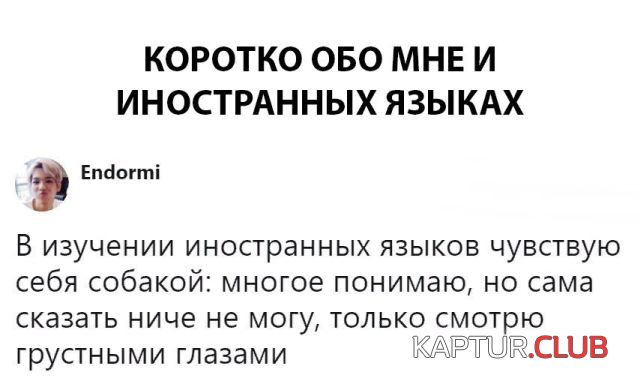 1.png | Рено Каптур Клуб Россия | Форум KAPTUR.SU