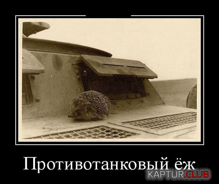 1.png | Рено Каптур Клуб Россия | Форум KAPTUR.SU