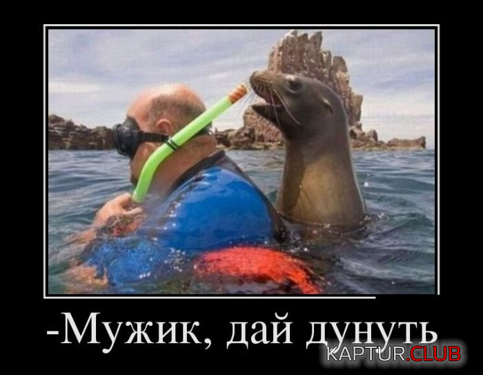 1.png | Рено Каптур Клуб Россия | Форум KAPTUR.SU