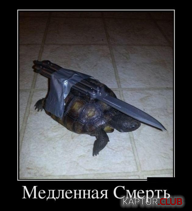 1.png | Рено Каптур Клуб Россия | Форум KAPTUR.SU