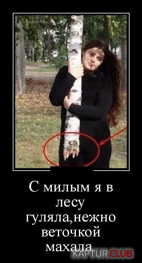 1.png | Рено Каптур Клуб Россия | Форум KAPTUR.SU