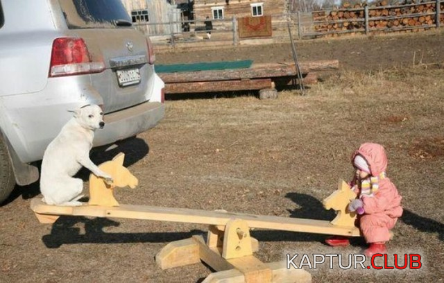 1.png | Рено Каптур Клуб Россия | Форум KAPTUR.SU