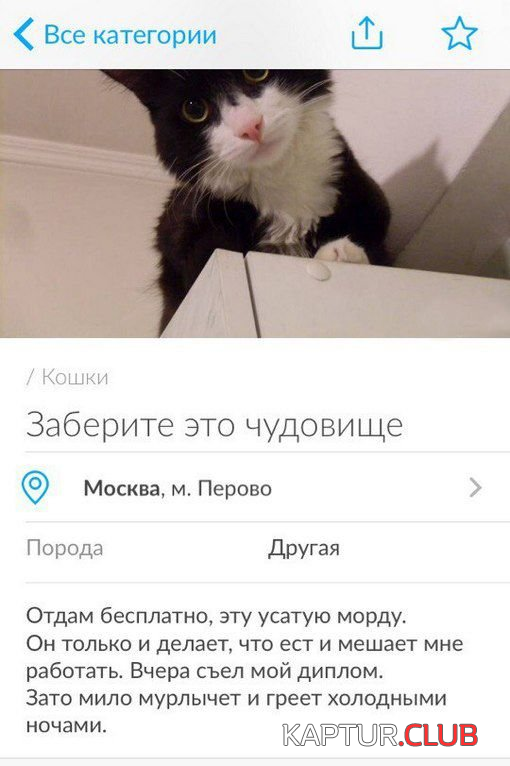 1.png | Рено Каптур Клуб Россия | Форум KAPTUR.SU