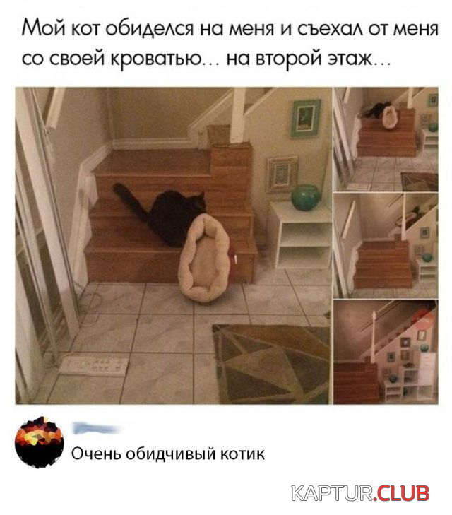 1.png | Рено Каптур Клуб Россия | Форум KAPTUR.SU
