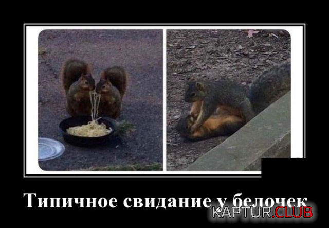 1.png | Рено Каптур Клуб Россия | Форум KAPTUR.SU