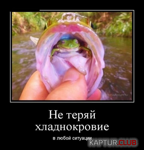 1.png | Рено Каптур Клуб Россия | Форум KAPTUR.SU