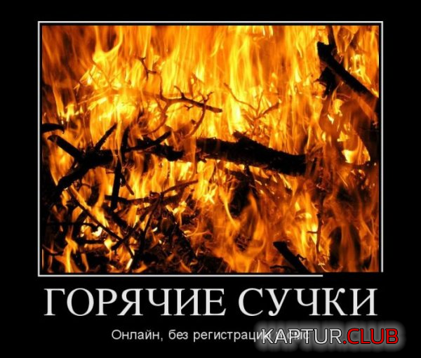 1.png | Рено Каптур Клуб Россия | Форум KAPTUR.SU