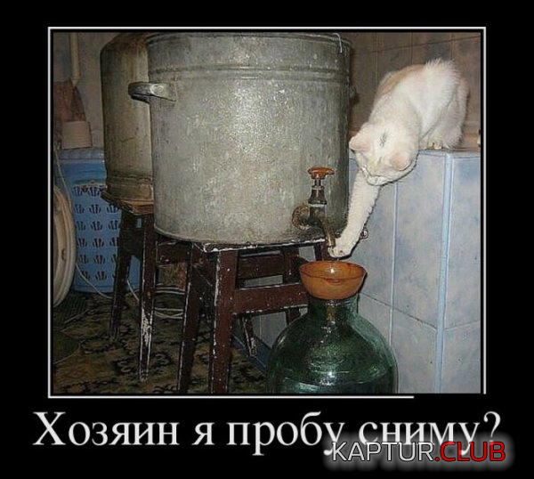 1.png | Рено Каптур Клуб Россия | Форум KAPTUR.SU