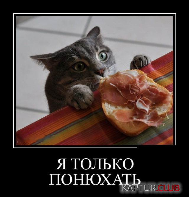 1.png | Рено Каптур Клуб Россия | Форум KAPTUR.SU