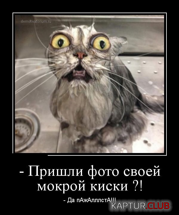 1.png | Рено Каптур Клуб Россия | Форум KAPTUR.SU