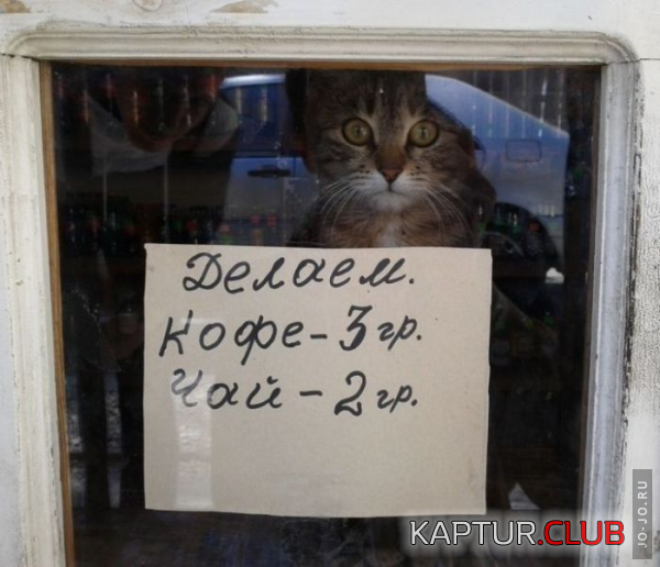 1.png | Рено Каптур Клуб Россия | Форум KAPTUR.SU