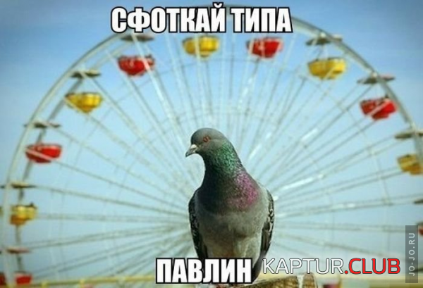 1.png | Рено Каптур Клуб Россия | Форум KAPTUR.SU