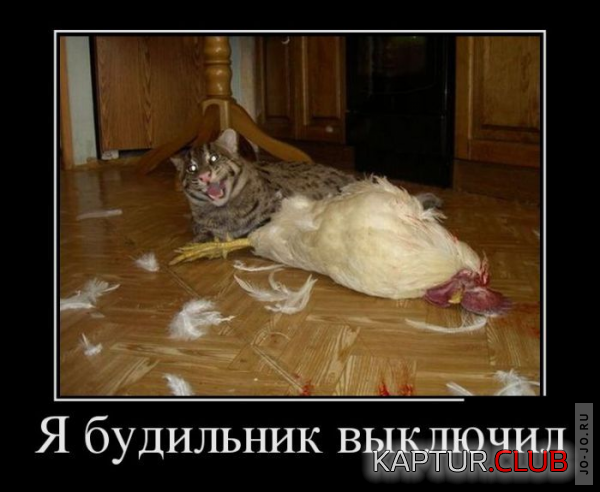 1.png | Рено Каптур Клуб Россия | Форум KAPTUR.SU