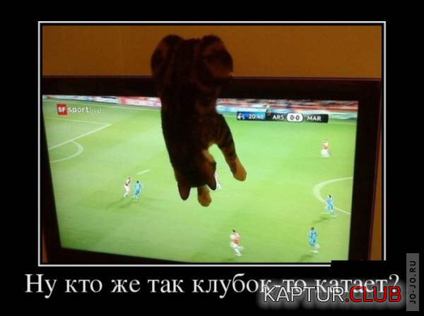 1.png | Рено Каптур Клуб Россия | Форум KAPTUR.SU
