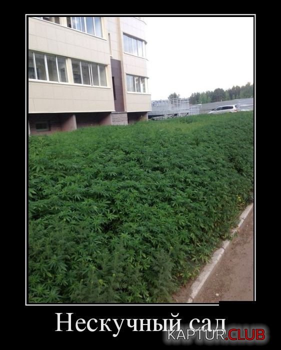 1.png | Рено Каптур Клуб Россия | Форум KAPTUR.SU