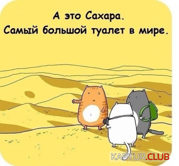 1.png | Рено Каптур Клуб Россия | Форум KAPTUR.SU