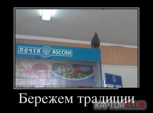 1.png | Рено Каптур Клуб Россия | Форум KAPTUR.SU