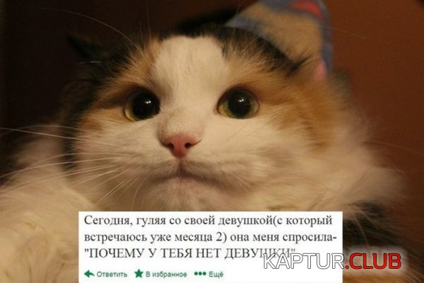 1.png | Рено Каптур Клуб Россия | Форум KAPTUR.SU