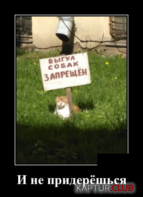 1.png | Рено Каптур Клуб Россия | Форум KAPTUR.SU