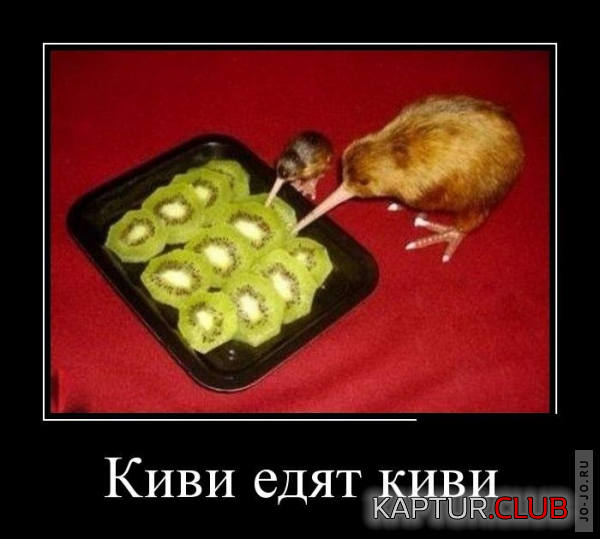 1.png | Рено Каптур Клуб Россия | Форум KAPTUR.SU
