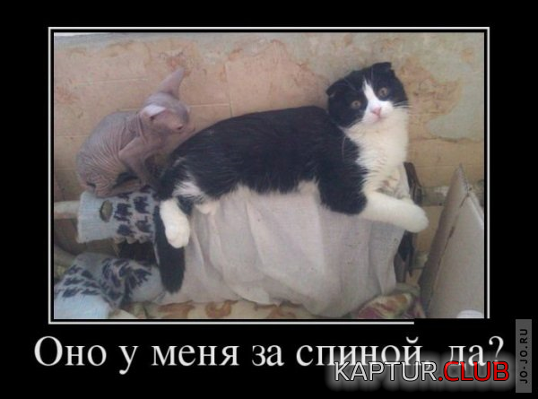 1.png | Рено Каптур Клуб Россия | Форум KAPTUR.SU
