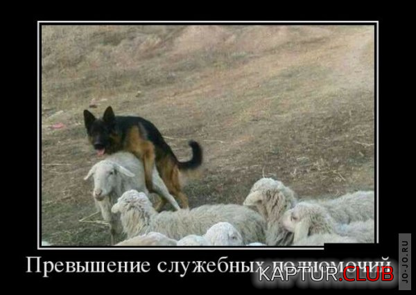 1.png | Рено Каптур Клуб Россия | Форум KAPTUR.SU